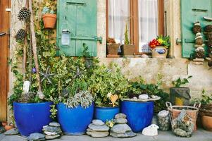 in vaso verde impianti nel davanti di cittadina Casa facciata, vecchio Vintage ▾ decorazione foto