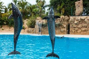 gruppo di poco delfini salto su di acqua foto