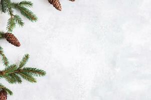 Natale composizione. abete albero rami, rosso decorazioni su grigio sfondo, fiori composizione. bianca e viola fiori su marmo sfondo, eucalipto foglie, inverno, superiore Visualizza. Natale regalo. foto