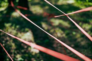 rosso ingarbugliato corde nel verde foresta fogliame, astratto arte oggetto di ambientale protezione foto