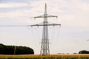 un elettrico energia linea nel il mezzo di un' campo foto