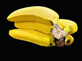 Banana mazzo isolato su nero sfondo. fotografie nel HD qualità