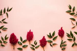 primo piano un fiori freschi e foglie verdi giacciono su uno sfondo rosa - copia spazio foto