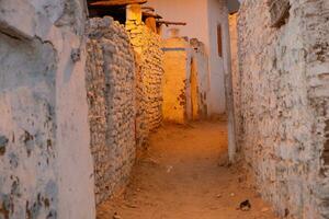 colorato esterno parete di un' nubiano Casa nel Egitto. tipico africano villaggio case facciata. medievale strada. foto