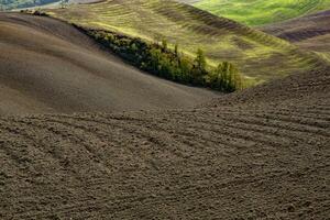 raccolto i campi e prati paesaggio nel Toscana, Italia. ondulato nazione scenario a autunno tramonto. arabile terra pronto per il agricolo stagione. foto