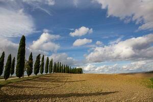 famoso Toscana paesaggio con curvo strada e cipresso, Italia, Europa. rurale azienda agricola, cipresso alberi, verde campo, luce del sole e nube. foto