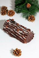 Natale log sagomato cioccolato torta rotolo con albero ramo e abete coni foto