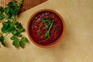 tradizionale georgiano pomodoro salsa satsebeli con coriandolo, cipolla e aglio nel argilla ciotola foto