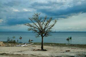 gili ketapan isola, probolinggo, Indonesia foto