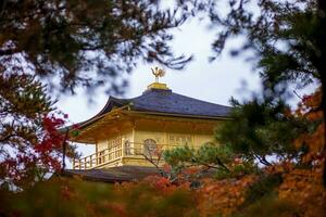 kinkaku-ji tempio ,tempio di il d'oro padiglione kyoto Giappone uno di maggior parte popolare in viaggio destinazione foto