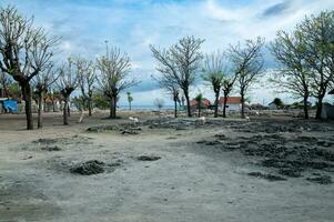 gili ketapan isola, probolinggo, Indonesia foto