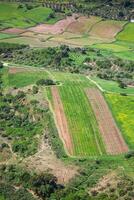 andalusia paesaggio, campagna strada e roccia nel ronda, Spagna foto