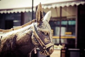 il statua di un' asino vecchio cittadina piazza nel correre. foto