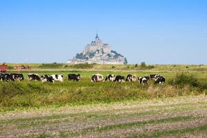 mont saint michel - normandia - francia foto