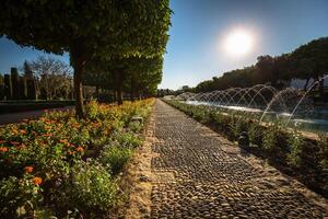 giardini a il alcazar de los Reyes cristiano nel Cordova, Spagna foto