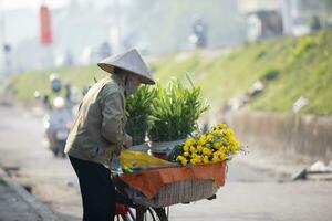 Hanoi Vietnam - 3 novembre 2017 non identificato fiore venditore nel Hanoi organizzazione giallo fiore nel bicicletta cestino, vietnamita uso fiore per quotidiano preghiere a presto mattina foto