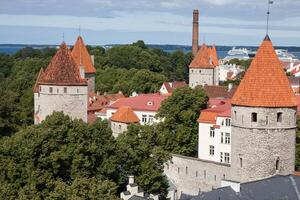 Visualizza di il vecchio cittadina tallinn, Estonia foto