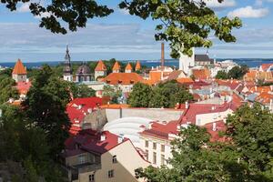 Visualizza di il vecchio cittadina tallinn, Estonia foto