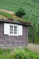 tipico norvegese Casa con erba su il tetto foto