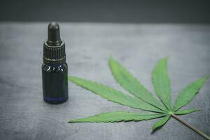 CBD medico marijuana cannabis. biologico e naturale a base di canapa cosmetico e bellezza prodotti. foto