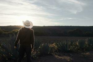 uomo combattente per proteggere il suo terra, sfondo di asciutto agavi e piantare terra, cowboy, ranch foto