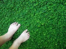 umano mano e piede cartello su verde erba sfondo quattro foglia copertina foto