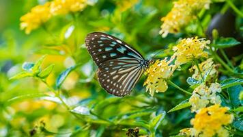 bellissimo Immagine nel natura di monarca farfalla su lantana fiore. foto