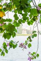 ciao kiem lago - ho gomma o spada lago nel il centro di Hanoi nel il nebbia nel il mattina. foto