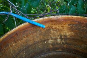 blu irrigazione tubo flessibile e un vecchio acqua piovana botte. foto