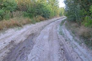 tracce di camion nella foresta strada rurale fuori strada foto