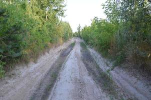 tracce di camion nella foresta strada rurale fuori strada foto