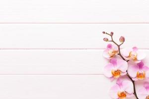 fiore di orchidea sullo sfondo pastello in legno. spa e benessere. foto