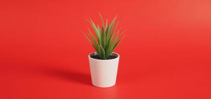 piante di cactus artificiali o plastica o albero finto su sfondo rosso.nessun popolo foto