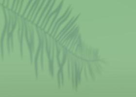 sfondo astratto di ombre foglie di palma su un muro. rendering 3D. foto