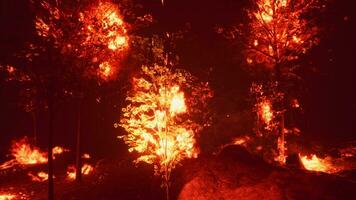 intenso fiamme a partire dal un' massiccio foresta fuoco foto
