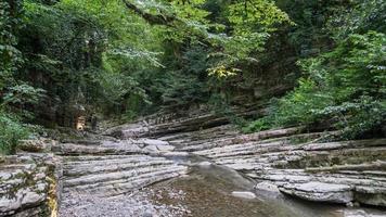 bella foresta e fiume di montagna nel canyon di psakho, Krasnodar Krai, Russia. foto