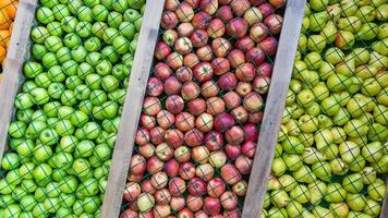 sfondo di pera, mela verde e rossa foto