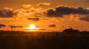 bel tramonto sul campo. blagoveshenskaya, russia foto