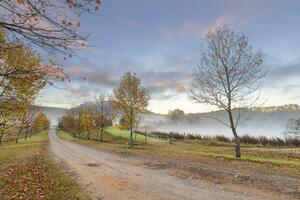 autunno colorato alberi e rosa colorato nuvole a Alba foto