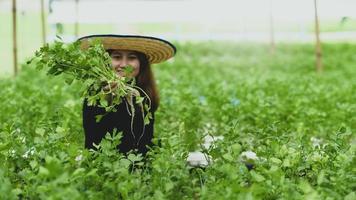 una giovane agricoltrice si prende cura e ispeziona le verdure nella sua serra. foto