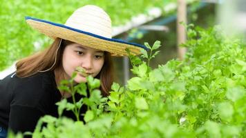 una giovane agricoltrice si prende cura e ispeziona le verdure in una serra.