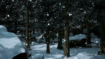 foresta invernale nella neve foto