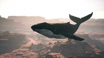un' grande balena è galleggiante nel il aria foto