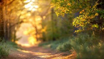 ai generato foresta nel il mattina foto