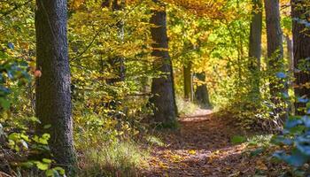 ai generato foresta nel il mattina foto