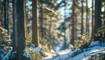 ai generato foresta bellissimo naturale scenario con pino alberi e selvaggio fiori selettivo messa a fuoco foto