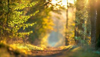 ai generato foresta nel il mattina foto