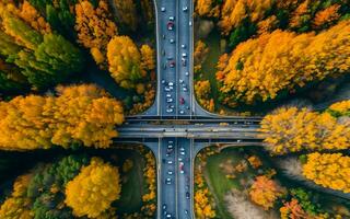 ai generato autunnale autostrada visualizzazioni aereo serenità al di sopra di boschi e cavalcavia ai generato foto