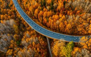 ai generato autunnale autostrada visualizzazioni aereo serenità al di sopra di boschi e cavalcavia ai generato foto