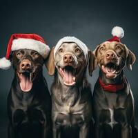 ai generato carino cane rauco lupo cucciolo con Natale regalo scatole concetto foto manifesto allegro presente rosso nuovo anno